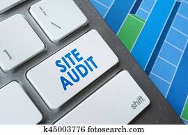 Site audit. Site audit.