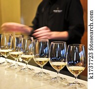 Wine tasting glasses Wine tasting glasses