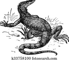 Nile Monitor Lizard Vector clip art cartoon illustration Clipart ...