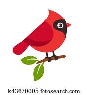 Red cardinal bird Red cardinal bird