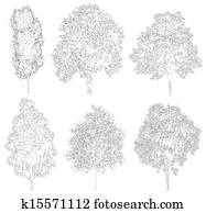Trees Trees