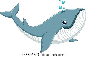 niedlich, wal, karikatur niedlich, wal, karikatur