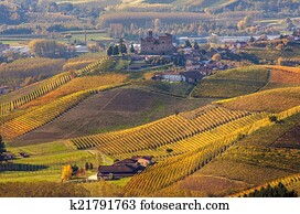 Autumnal hills of Piedmont, Italy.
