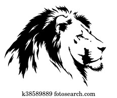black and white linear paint draw lion illustration black and white linear paint draw lion illustration