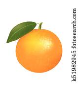 Orange fruit Orange fruit