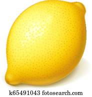 ripe,, saftig, lemon., vektor, illustration. ripe,, saftig, lemon., vektor, illustration.