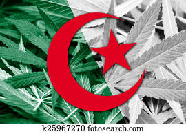 Algeria Flag on cannabis background. Drug policy. Legalization of marijuana Algeria Flag on cannabis background. Drug policy. Legalization of marijuana