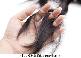 hair loss hair loss