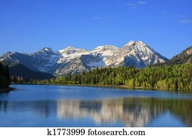 Extracto, plano de fondo, hermoso, belleza, botánica, ramas, brillante