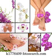 Spa Spa