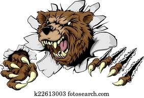 urso, rasgando, através, fundo