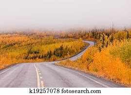Winding golden fall taiga road Yukon Canada