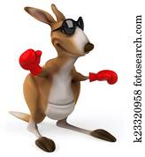 Fun kangaroo Fun kangaroo