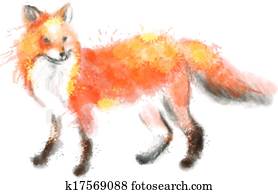 raposa, aquarela, ilustração