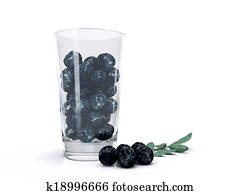 The amazon acai fruit. The amazon acai fruit.