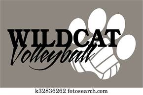 wildcat volleyball wildcat volleyball