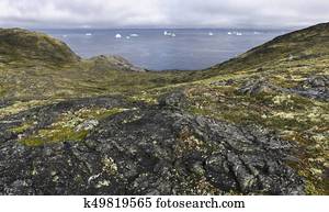 Fogo Island coastline with icebergs