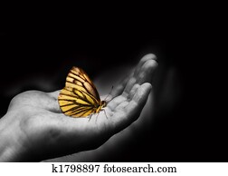 Kindness Kindness