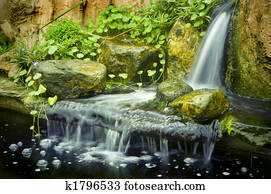 Zen garden Zen garden