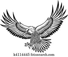 adler, vektor adler, vektor
