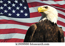 Bald Eagle and USA flag