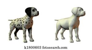 エスキモー犬 犬 ３ｄ モデル イラスト K Fotosearch