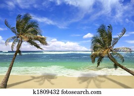 Island Pardise Beach in Hawaii Island Pardise Beach in Hawaii