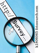 Online survey Online survey