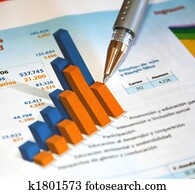 נהול חשבונות, דווח