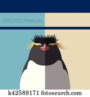 Crested Penguin flat postcard
