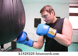boxer boxer