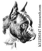 Dog Dog