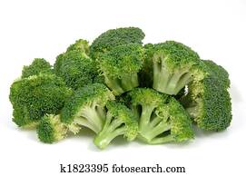 Fresh broccoli Fresh broccoli