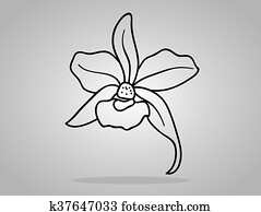 orchid flowers . Vector illustration. orchid flowers . Vector illustration.