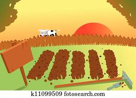 sonnenuntergang, und, kuh, auf, gemüsegarten sonnenuntergang, und, kuh, auf, gemüsegarten