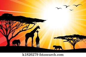 אפריקה, /, סאפארי, -, צלליות