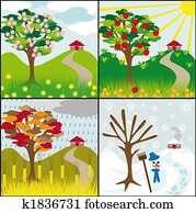 four seasons on a hill four seasons on a hill