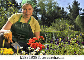 gardening gardening