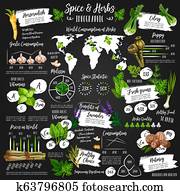 Infographic for spice and herb statistics poster Infographic for spice and herb statistics poster