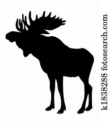 Moose Moose