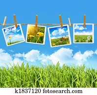 Tall grass with four pictures on clothesline