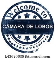 camara, de, lobos, selo, branco, fundo camara, de, lobos, selo, branco, fundo