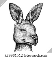 black and white engrave isolated kangaroo vector illustration black and white engrave isolated kangaroo vector illustration