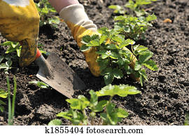 Gardening Gardening