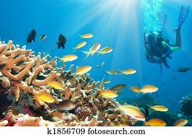 Underwater landscape