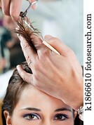 hair salon hair salon