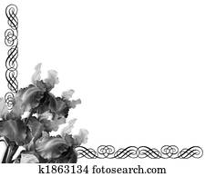 Iris Ornamental Border Black and white Iris Ornamental Border Black and white
