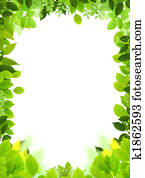 Natural frame and template Natural frame and template