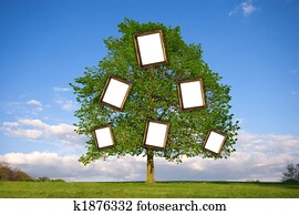 Family Tree
