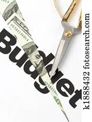 Budget Cut
